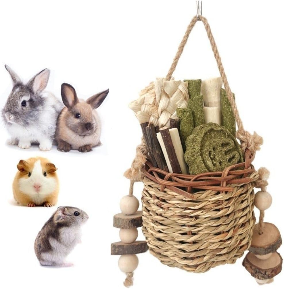 Small Pet Essentials