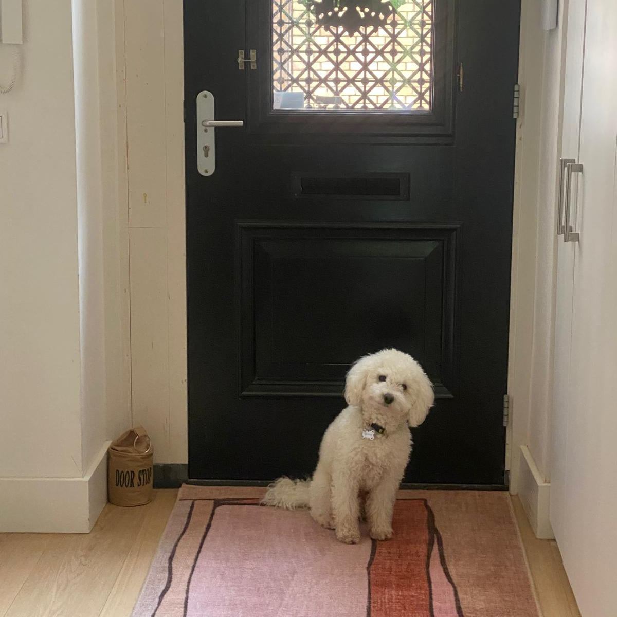 🧼 Ruggable Rugs: Stylish, Sustainable &amp; Pet-Proof? Our Honest Review from the Future First Home
