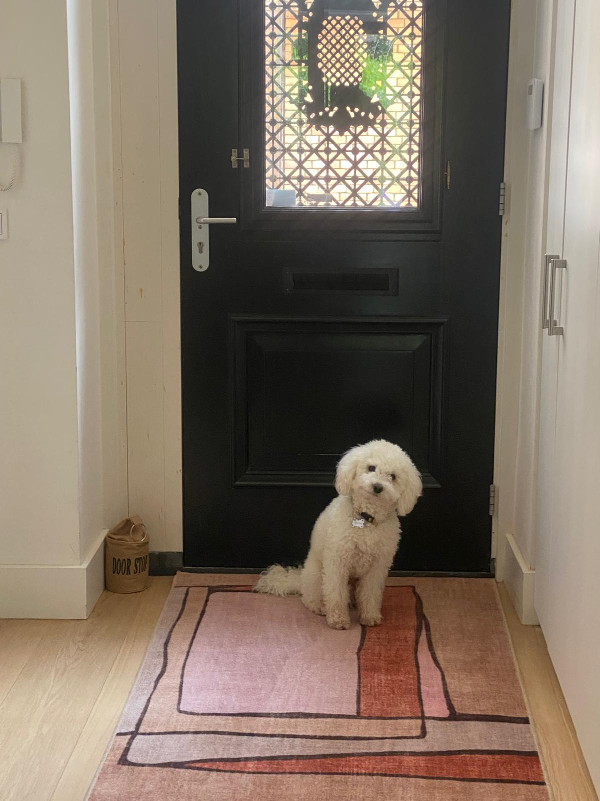 🧼 Ruggable Rugs: Stylish, Sustainable &amp; Pet-Proof? Our Honest Review from the Future First Home