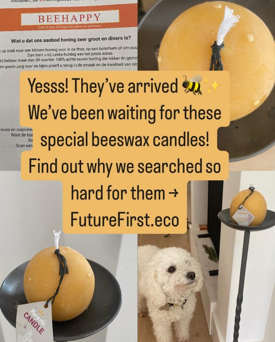 🕯️ Why We Went Searching for Real Beeswax Candles