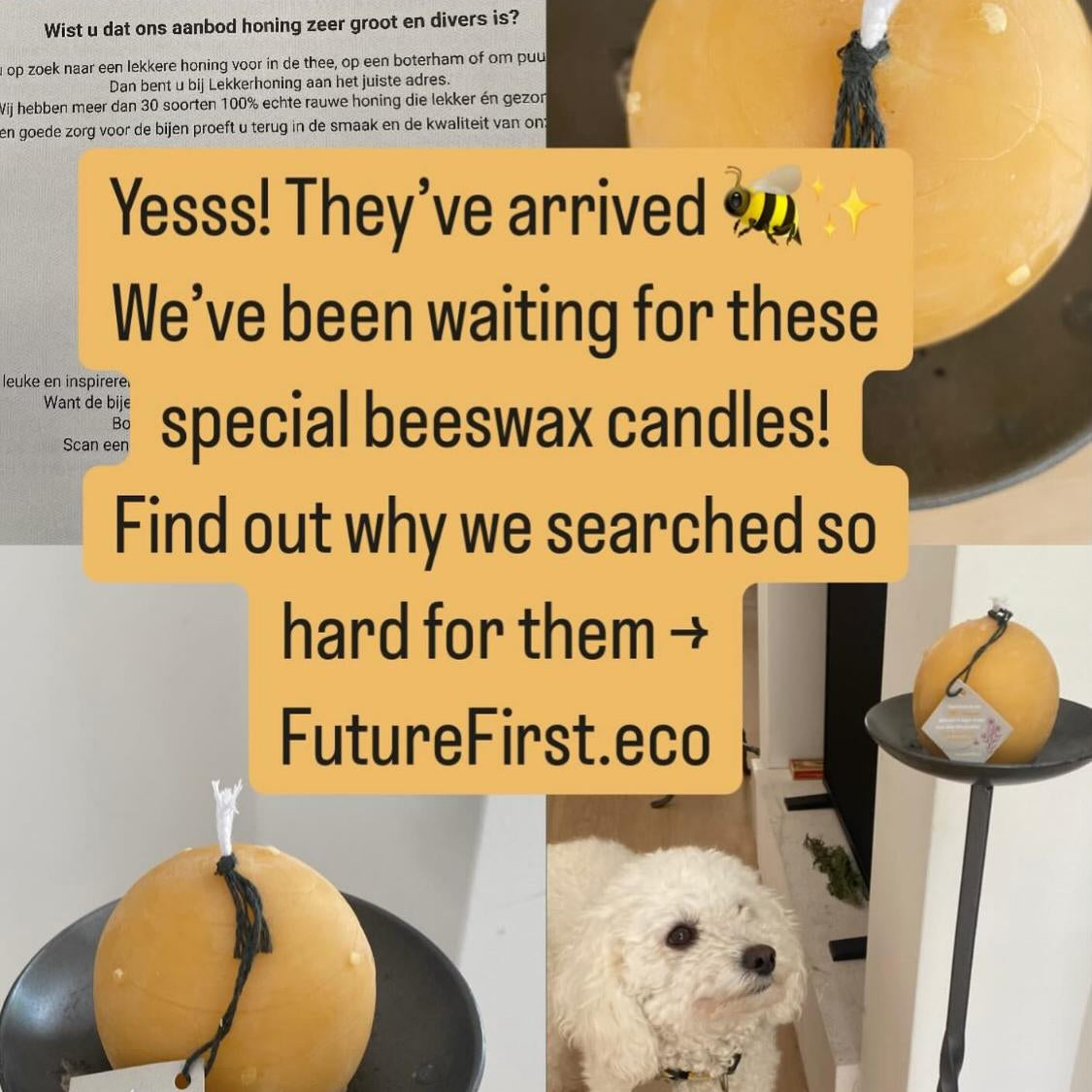 🕯️ Why We Went Searching for Real Beeswax Candles