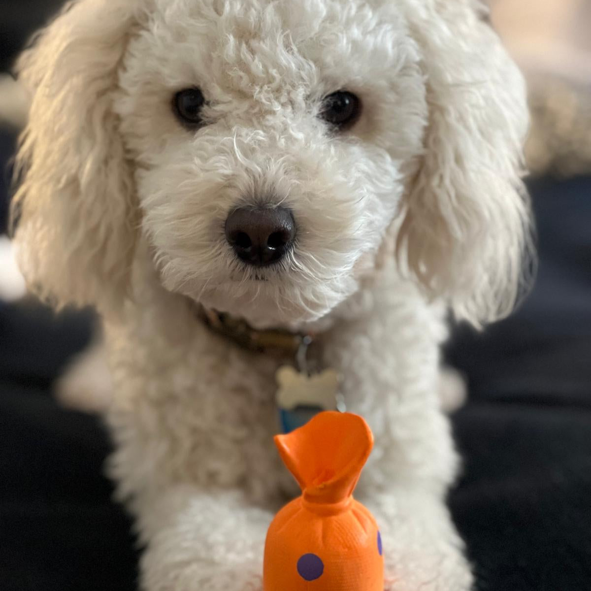 Sustainable Rubber Pet Toys: Expert Guide