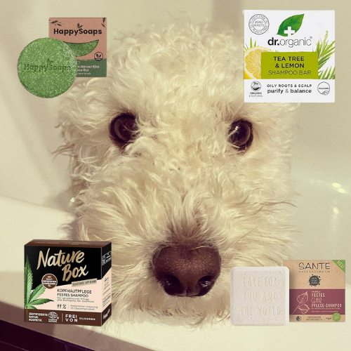 🌱 When a Shampoo Bar Steals Your Heart — Our Search for the Best Sustainable Hair Care