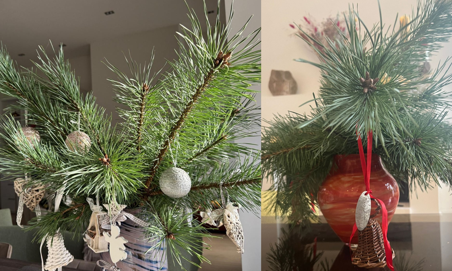 🎄 Kasper’s Christmas Tale: Sniffing Out the Most Sustainable Tree of 2025