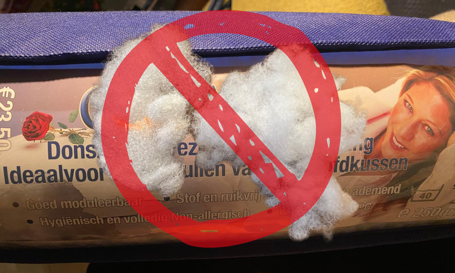 🌿 What We Learned About Pillow Fillings (And How We Accidentally Chose the Wrong One)