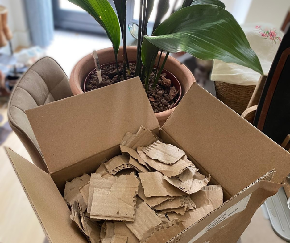 🌿 Did You Know That Most of the Packaging from Your Home Deliveries is Compostable?