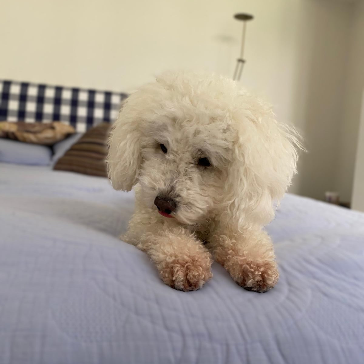 🛏️ After a Week of Cleaning, It’s Time to Rest – with Yumeko