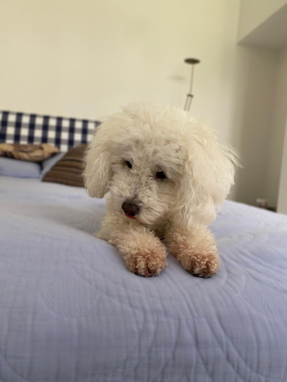 🛏️ After a Week of Cleaning, It’s Time to Rest – with Yumeko