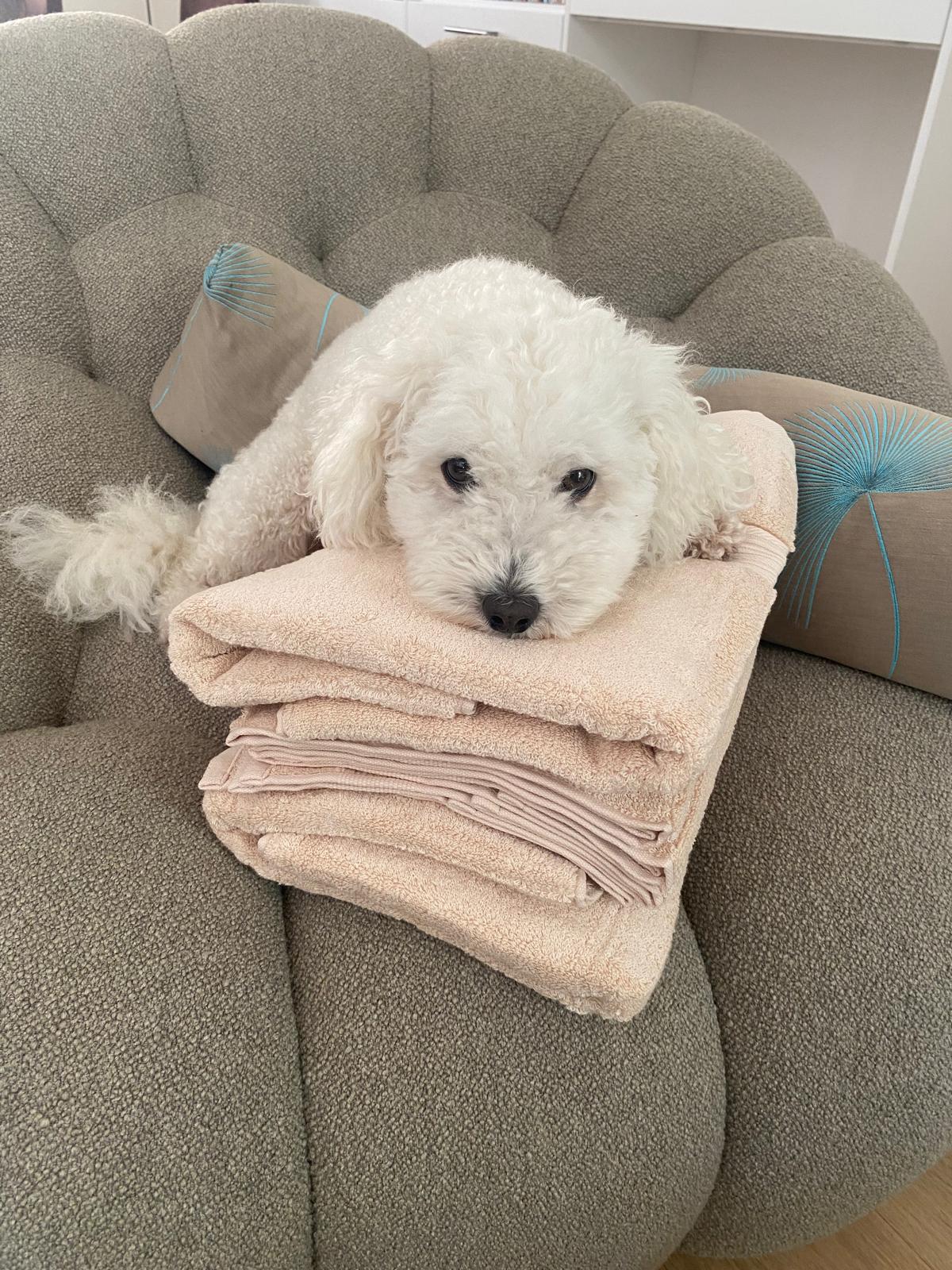 Towels with a Lighter Footprint 🧺✨