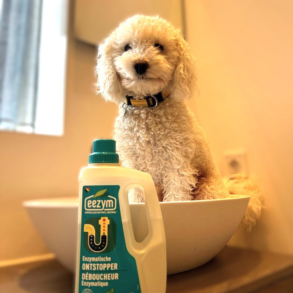 🐾 Kasper's Paw of Approval Review: EEZYM Enzymatic Cleaners