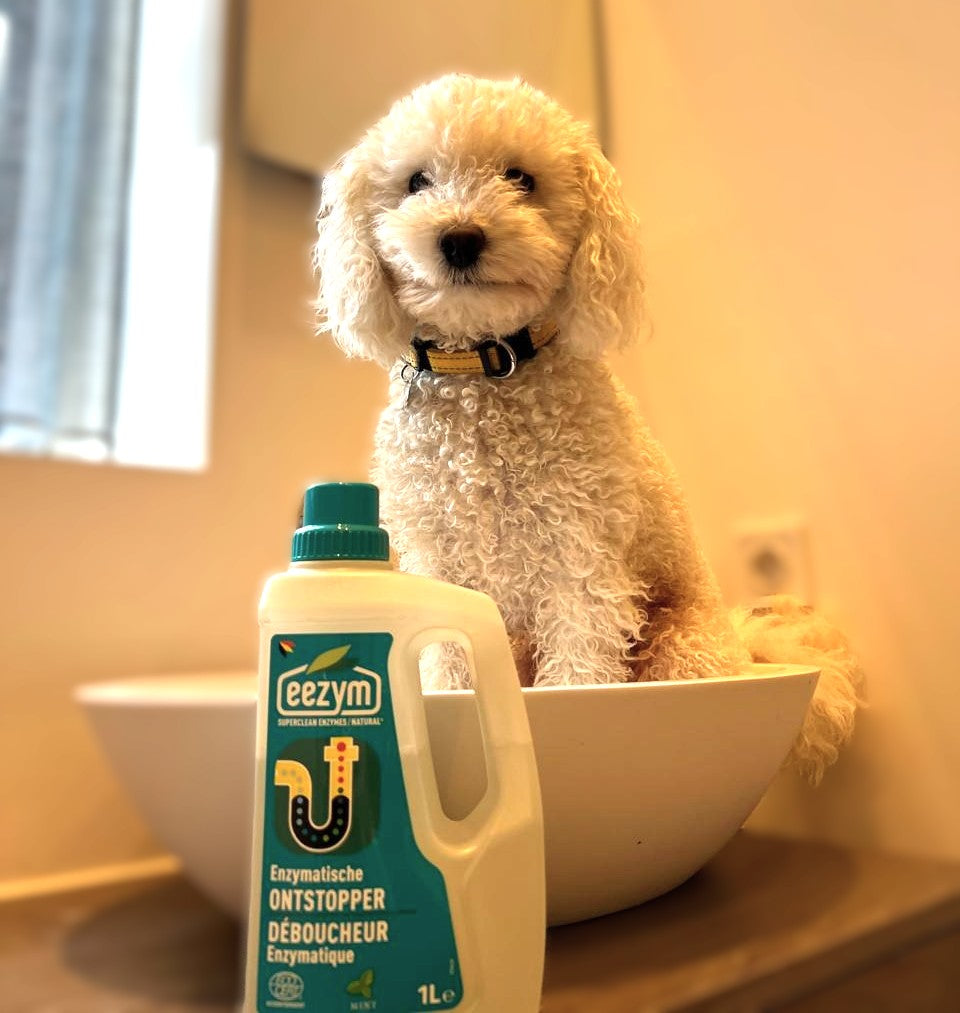 🐾 Kasper's Paw of Approval Review: EEZYM Enzymatic Cleaners