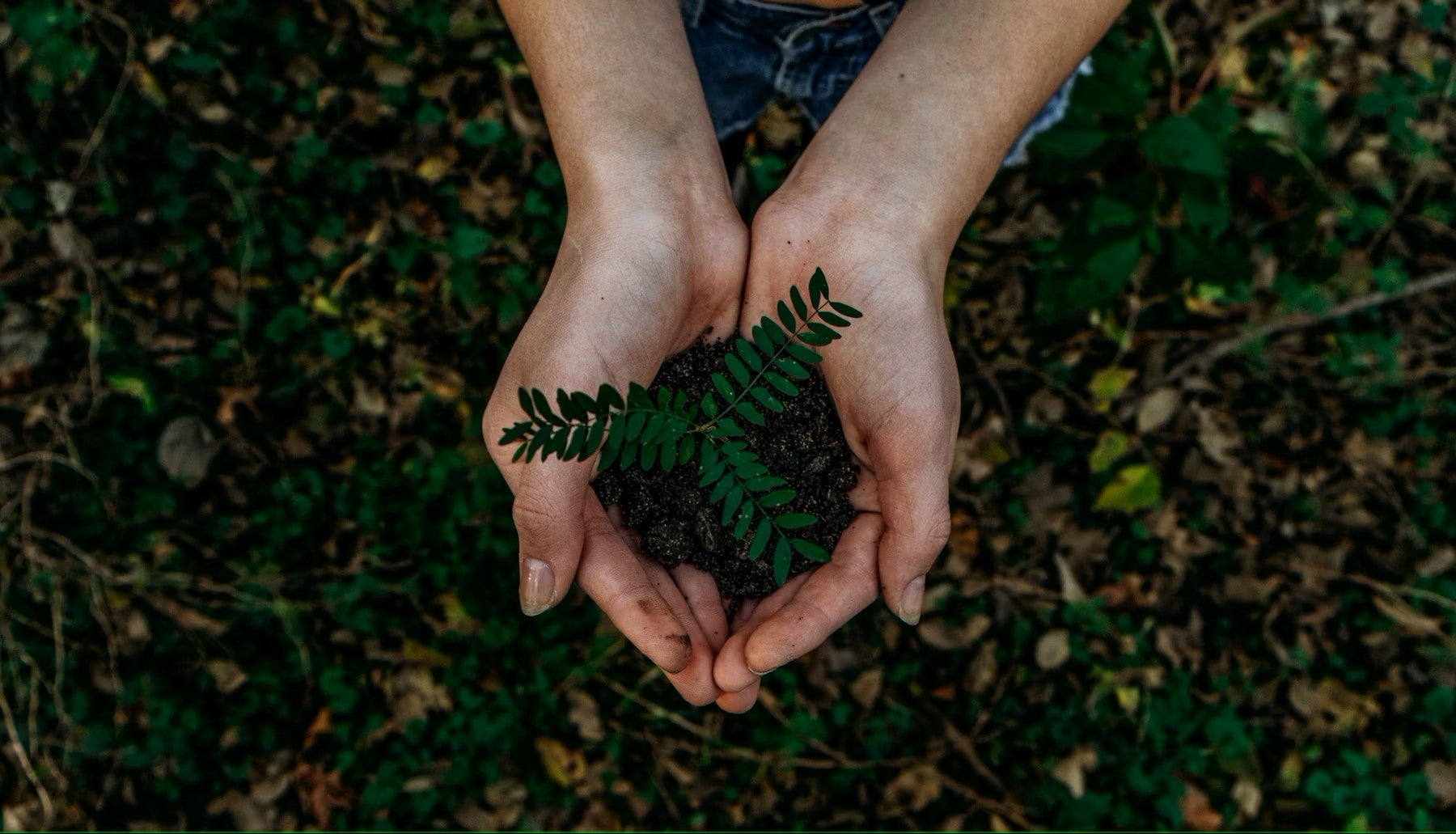 Getting Started with Eco-Friendly Living: A Beginner's Guide