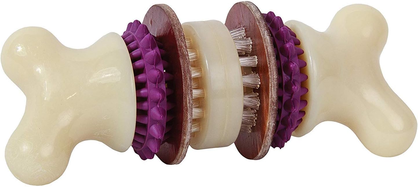 PetSafe Drukke Buddy Bristle Bone Dog Chew Toy, S